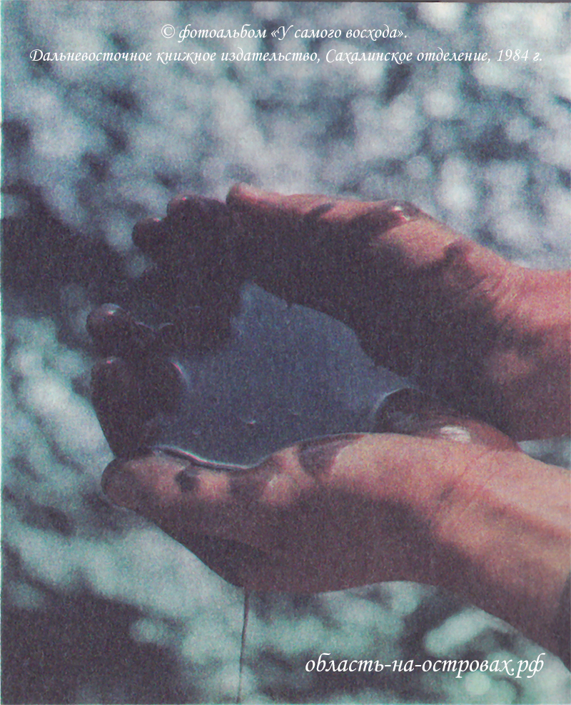 Старые фото Сахалина и Курил. “У самого восхода”, 1984 г. Сахалинские мотивы