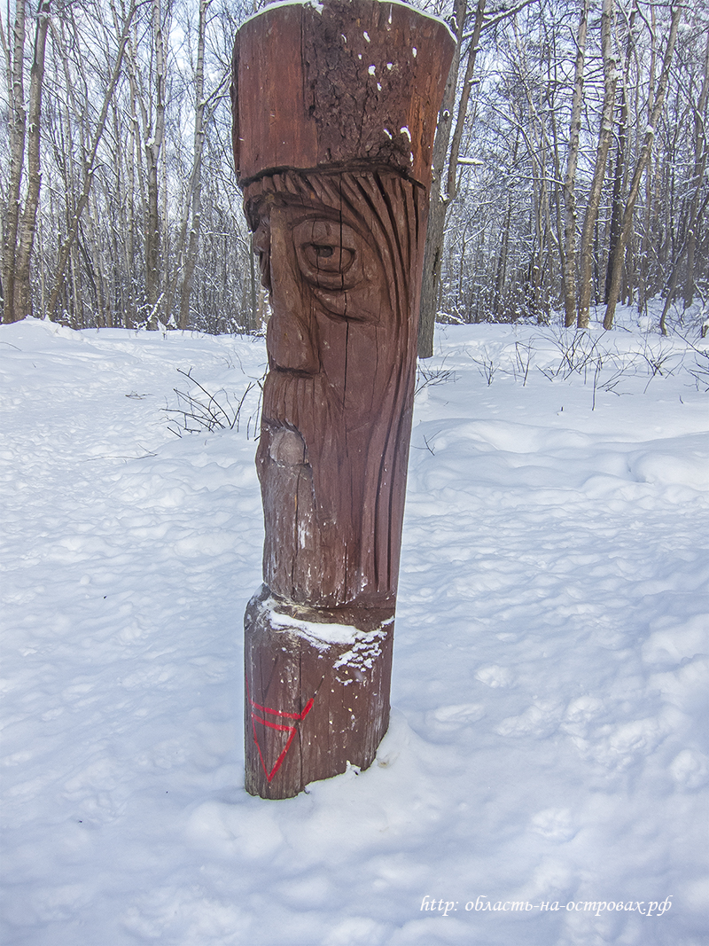 Фотопрогулка по зимнему лесу (лесополоса вблизи города), Южно-Сахалинск, 2021 год…